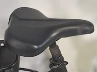 Elektrische damesfiets, vogue, infinity mds - afbeelding 14 van  17