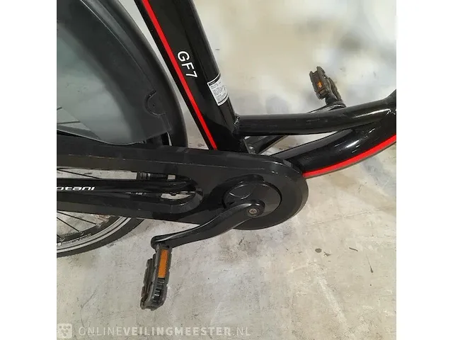 Elektrische damesfiets votani, gf7 - afbeelding 17 van  19