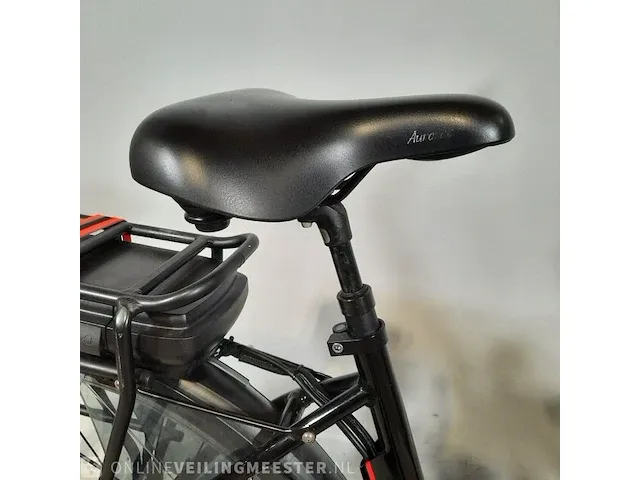 Elektrische damesfiets votani, gf7 - afbeelding 18 van  19