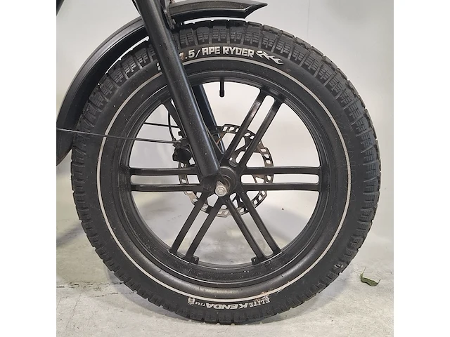 Elektrische fatbike, ape ryder - afbeelding 3 van  16