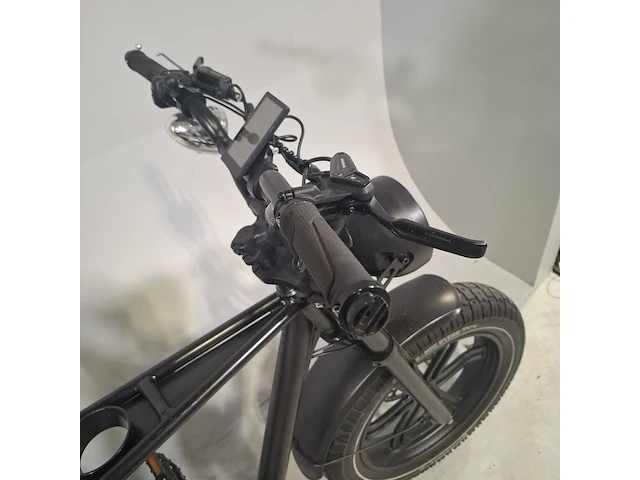 Elektrische fatbike, ape ryder - afbeelding 13 van  16