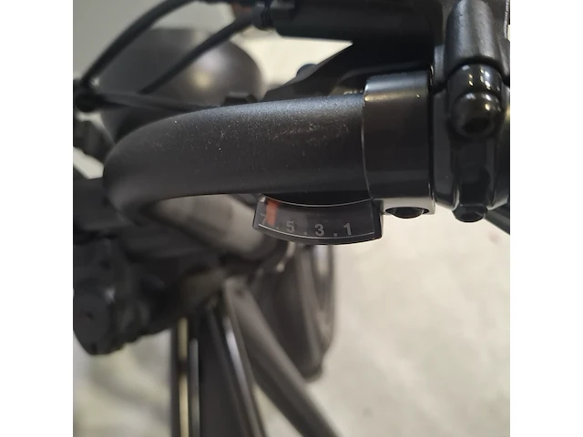 Elektrische fatbike, ape ryder - afbeelding 15 van  16