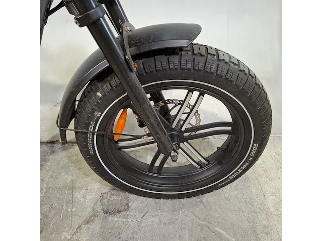 Elektrische fatbike, la souris, aperyder - afbeelding 2 van  19