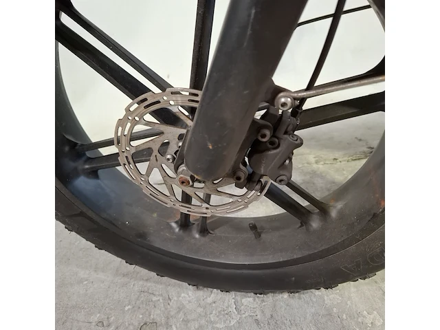 Elektrische fatbike, la souris, v20 - afbeelding 9 van  20