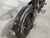 Elektrische fatbike, v20 - afbeelding 16 van  20