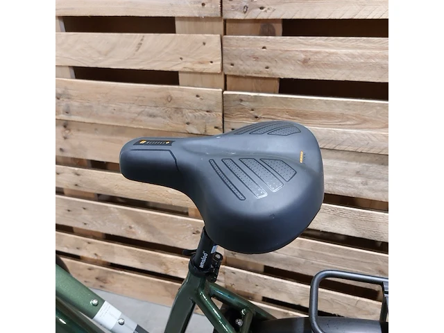 Elektrische fiets, amslod, dalton e-mv, groen - afbeelding 2 van  20