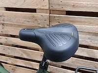 Elektrische fiets, amslod, dalton e-mv, groen - afbeelding 2 van  20