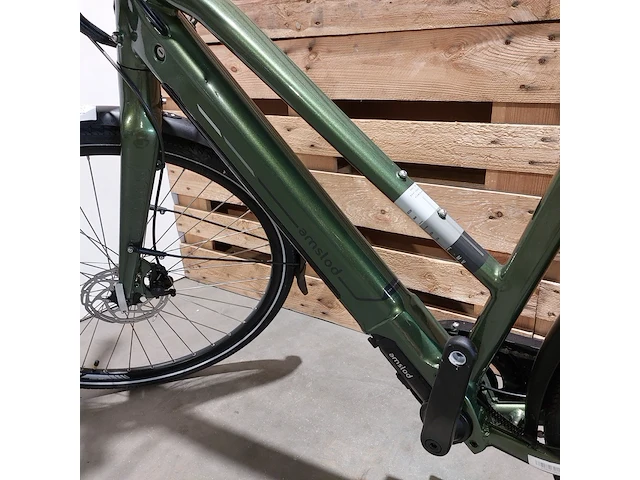 Elektrische fiets, amslod, dalton e-mv, groen - afbeelding 3 van  20