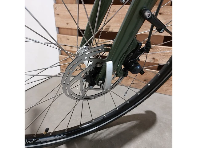 Elektrische fiets, amslod, dalton e-mv, groen - afbeelding 5 van  20