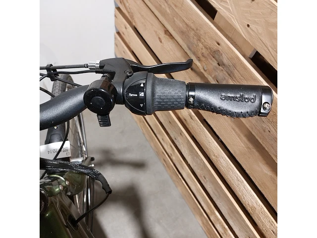 Elektrische fiets, amslod, dalton e-mv, groen - afbeelding 8 van  20