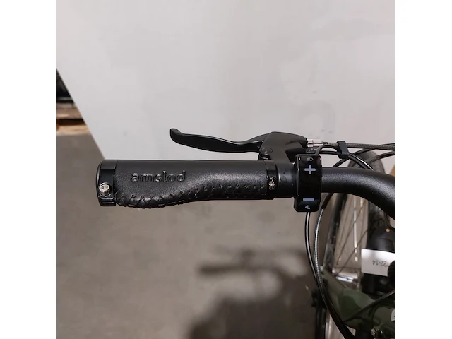 Elektrische fiets, amslod, dalton e-mv, groen - afbeelding 10 van  20