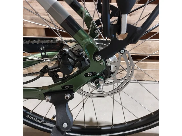 Elektrische fiets, amslod, dalton e-mv, groen - afbeelding 19 van  20