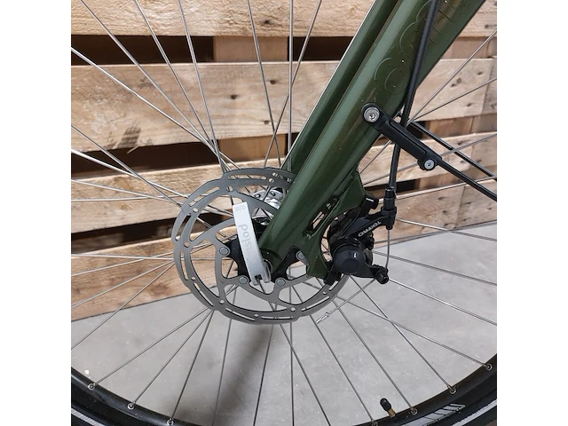 Elektrische fiets, amslod, dalton e-mv, groen - afbeelding 3 van  18