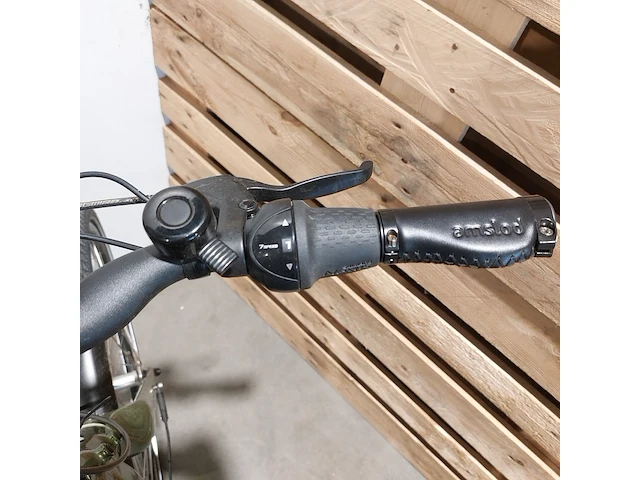 Elektrische fiets, amslod, dalton e-mv, groen - afbeelding 7 van  18