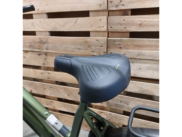 Elektrische fiets, amslod, dalton e-mv, groen - afbeelding 17 van  18