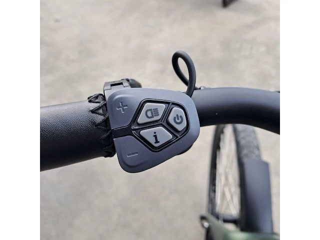 Elektrische fiets, amslod, eton e-md, groen, 2021 - afbeelding 2 van  13