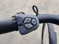 Elektrische fiets, amslod, eton e-md, groen, 2021 - afbeelding 2 van  13