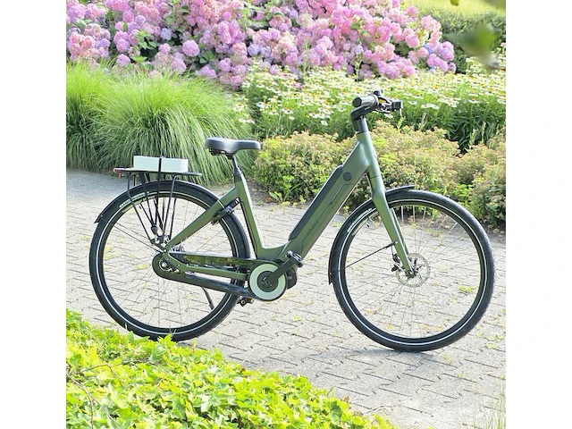 Elektrische fiets, amslod, eton e-md, groen, 2021 - afbeelding 5 van  13
