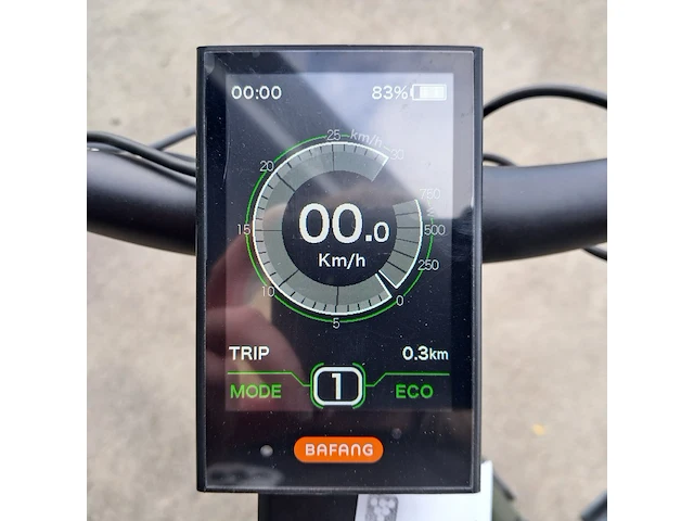 Elektrische fiets, amslod, eton e-md, groen, 2021 - afbeelding 13 van  13