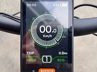 Elektrische fiets, amslod, eton e-md, groen, 2021 - afbeelding 13 van  13