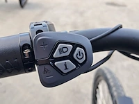 Elektrische fiets amslod, eton e-md, groen, bouwjaar 2023 - afbeelding 4 van  14