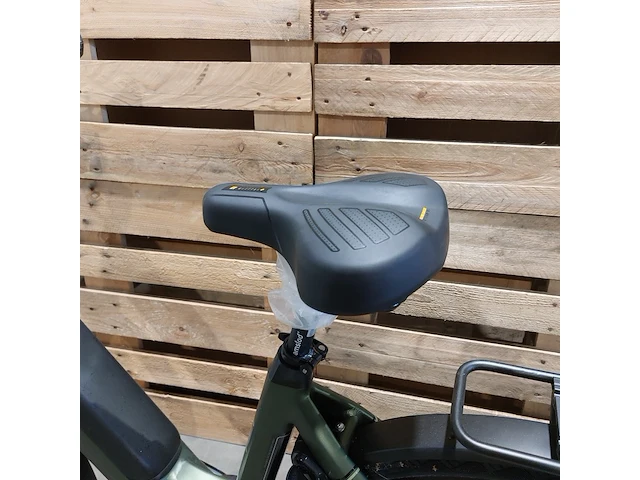 Elektrische fiets, amslod, eton e-md, groen - afbeelding 3 van  20