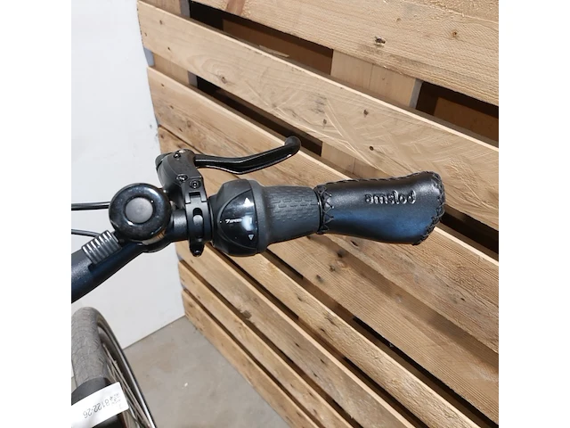 Elektrische fiets, amslod, eton e-md, groen - afbeelding 9 van  20