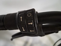 Elektrische fiets batavus, allround bike - afbeelding 15 van  16