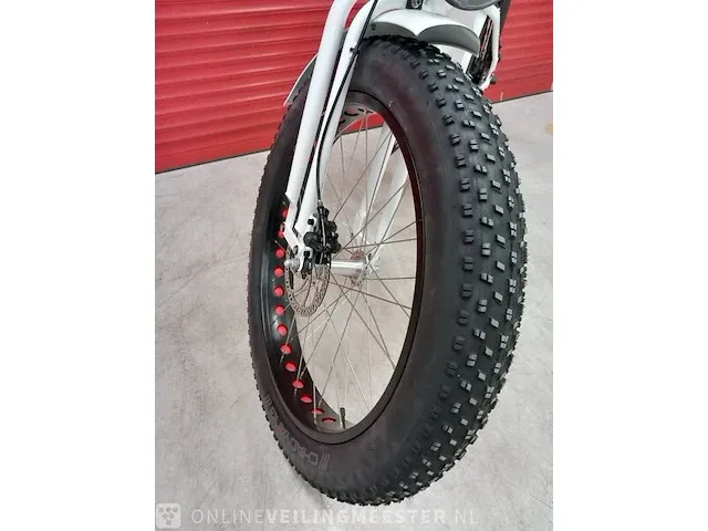 Elektrische fiets beach cruiser, wit, bouwjaar 2023 - afbeelding 3 van  25