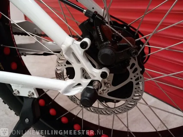 Elektrische fiets beach cruiser, wit, bouwjaar 2023 - afbeelding 9 van  25