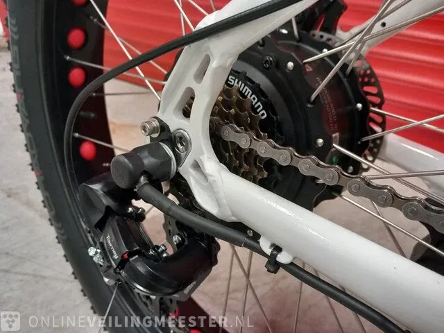 Elektrische fiets beach cruiser, wit, bouwjaar 2023 - afbeelding 11 van  25