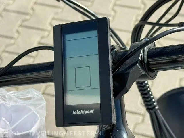 Elektrische fiets beach cruiser, wit, bouwjaar 2023 - afbeelding 14 van  25