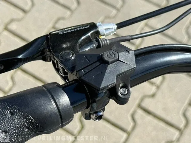 Elektrische fiets beach cruiser, wit, bouwjaar 2023 - afbeelding 15 van  25