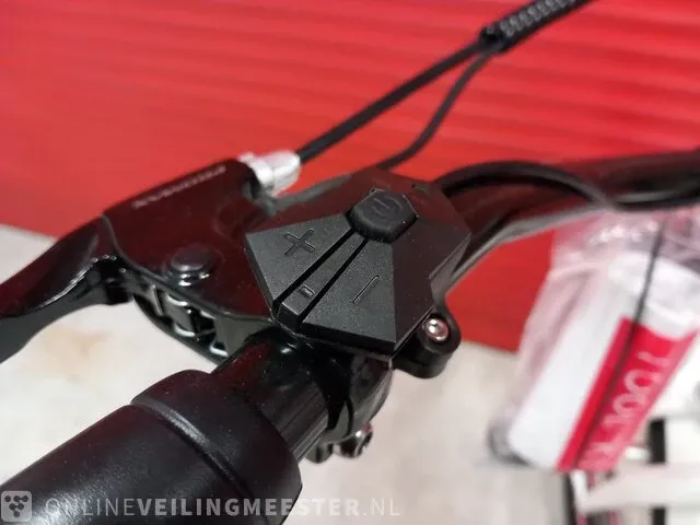 Elektrische fiets beach cruiser, wit, bouwjaar 2023 - afbeelding 25 van  25