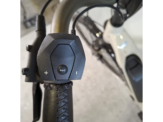 Elektrische fiets stella, livorno - afbeelding 10 van  22