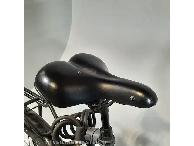 Elektrische fiets stella, morena - afbeelding 4 van  23