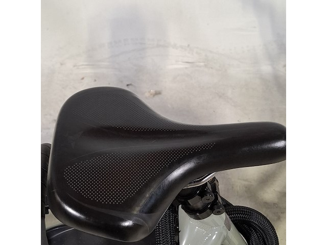 Elektrische fiets, tern - afbeelding 14 van  16