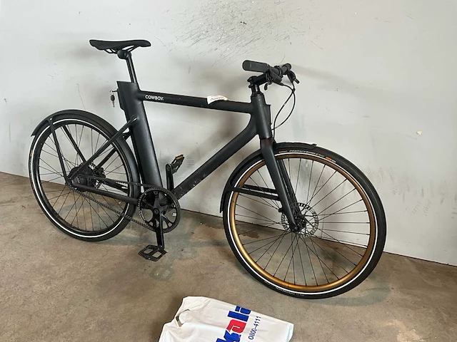 Elektrische fiets - afbeelding 1 van  10