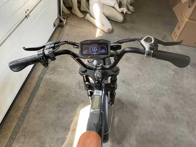 Elektrische fiets - afbeelding 18 van  19