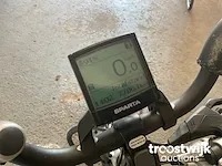 Elektrische fiets - afbeelding 6 van  8
