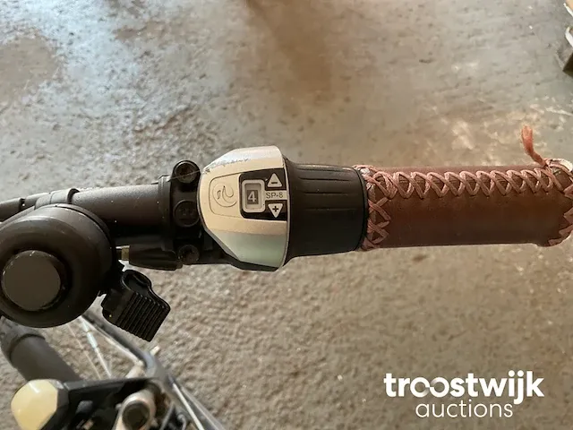 Elektrische fiets - afbeelding 8 van  9
