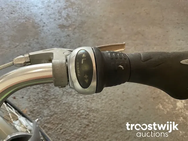 Elektrische fiets - afbeelding 8 van  8