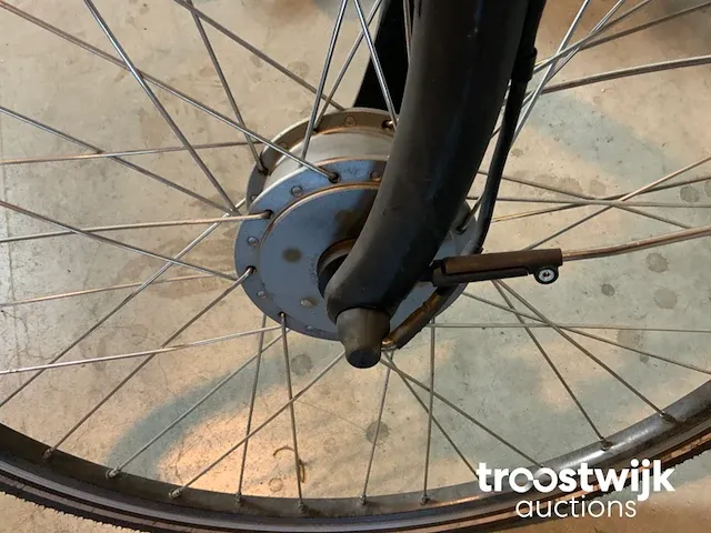 Elektrische fiets - afbeelding 9 van  10