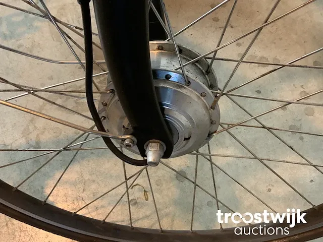 Elektrische fiets - afbeelding 8 van  8