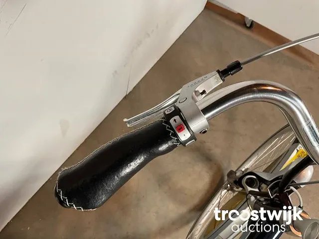 Elektrische fiets - afbeelding 3 van  11