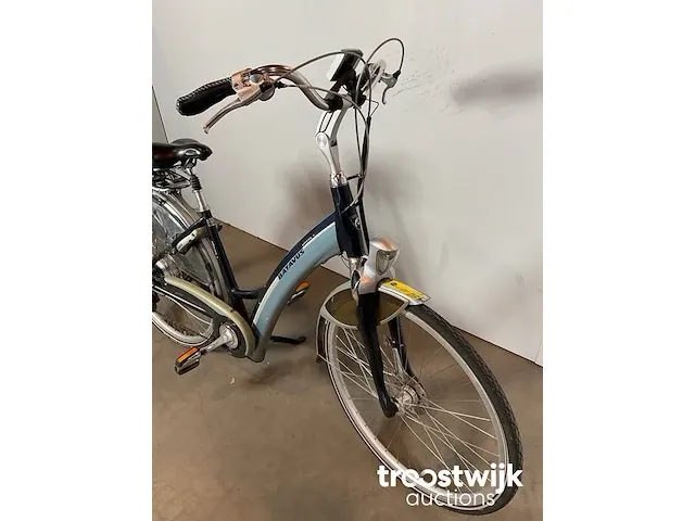 Elektrische fiets - afbeelding 4 van  11