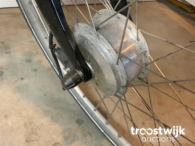 Elektrische fiets - afbeelding 9 van  9