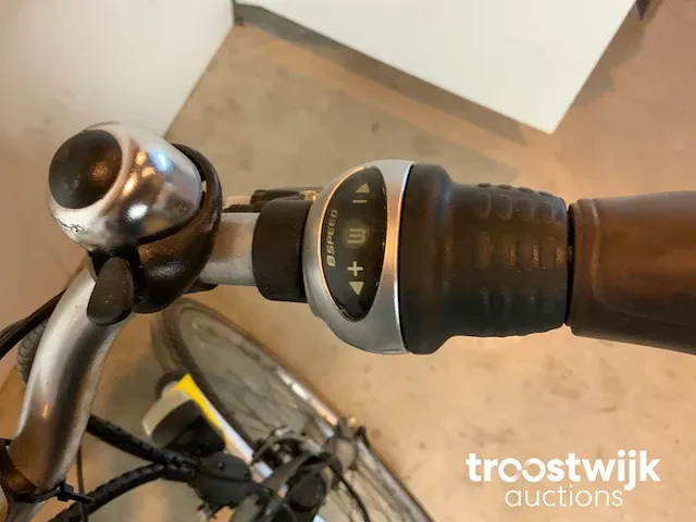 Elektrische fiets - afbeelding 5 van  9