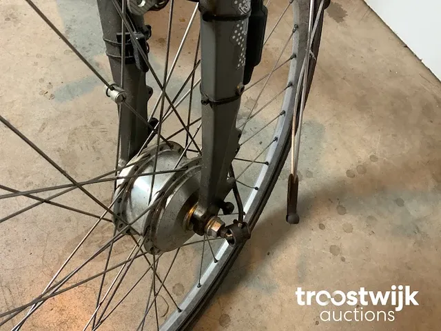 Elektrische fiets - afbeelding 9 van  9