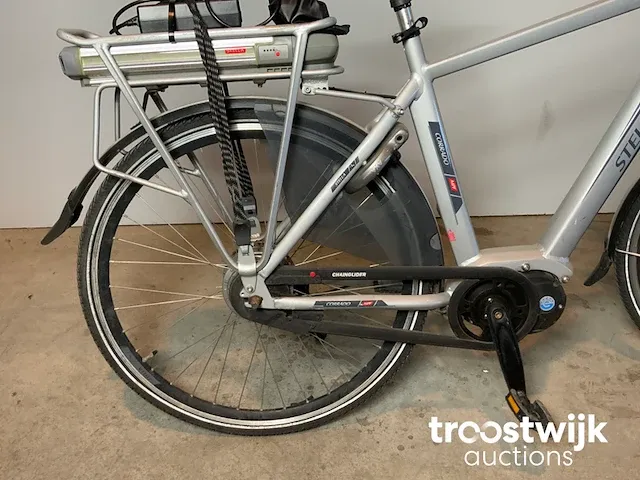 Elektrische fiets - afbeelding 3 van  9